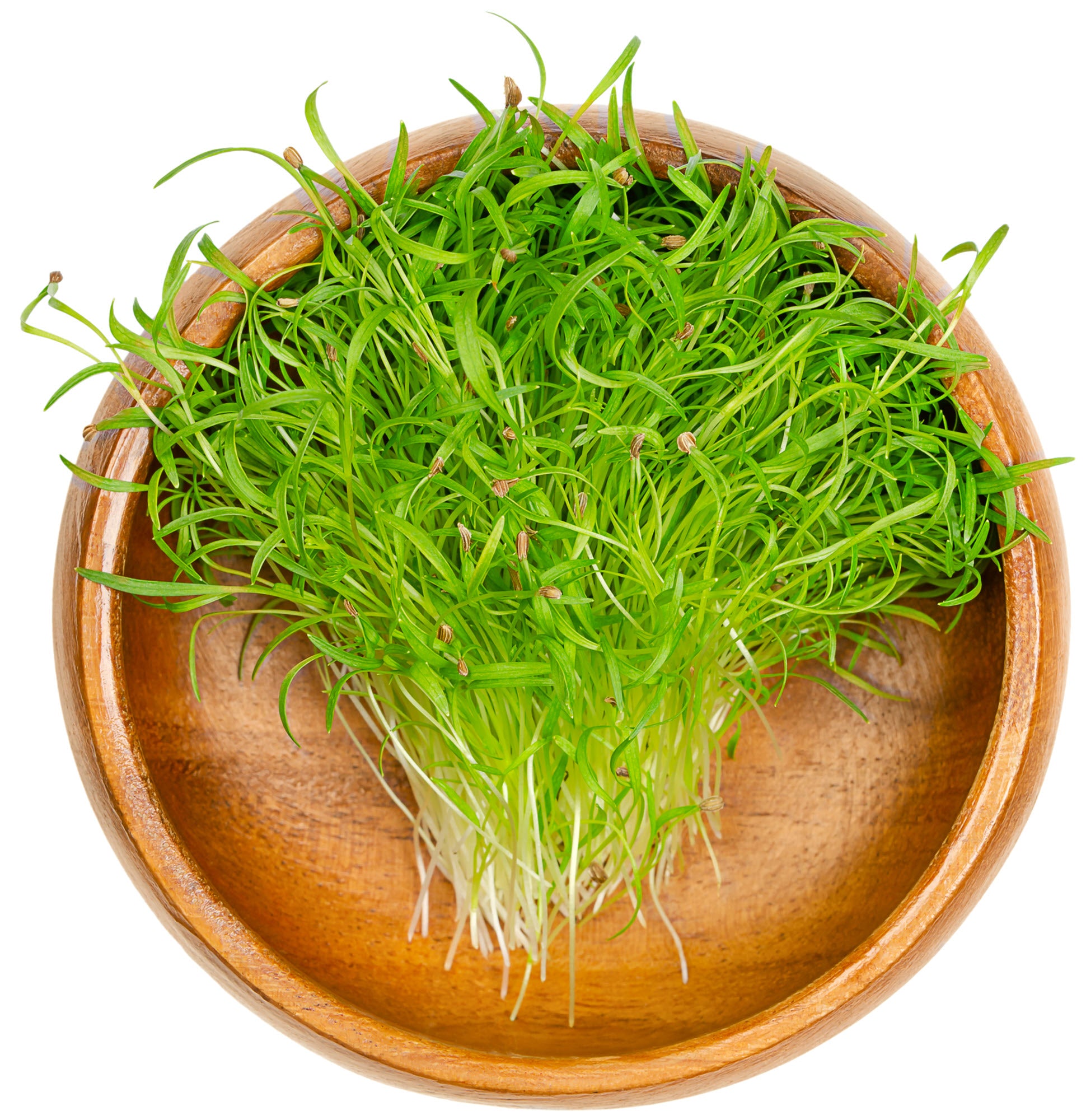 Shown are Carrot Lunar White Microgreens, freshly cut and rinsed, and gently placed into a bamboo serving bowl. The bowl sits on a white background.