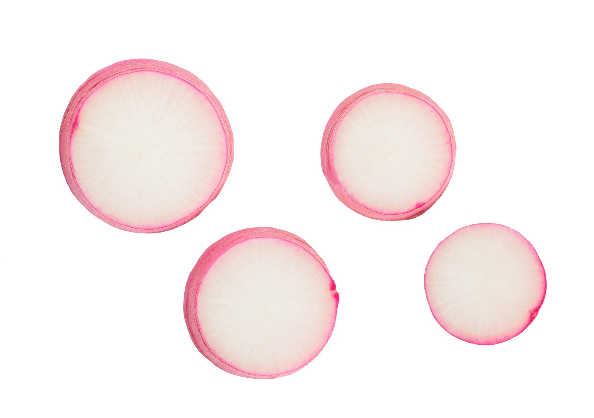 On display are 4 radish slices, of the variety Champion. The radish slices vary in width, with each slice clearly displaying its crisp, juicy interior.  All slices are ringed in the familiar magenta color. The radish slices appear against a pure white background.
