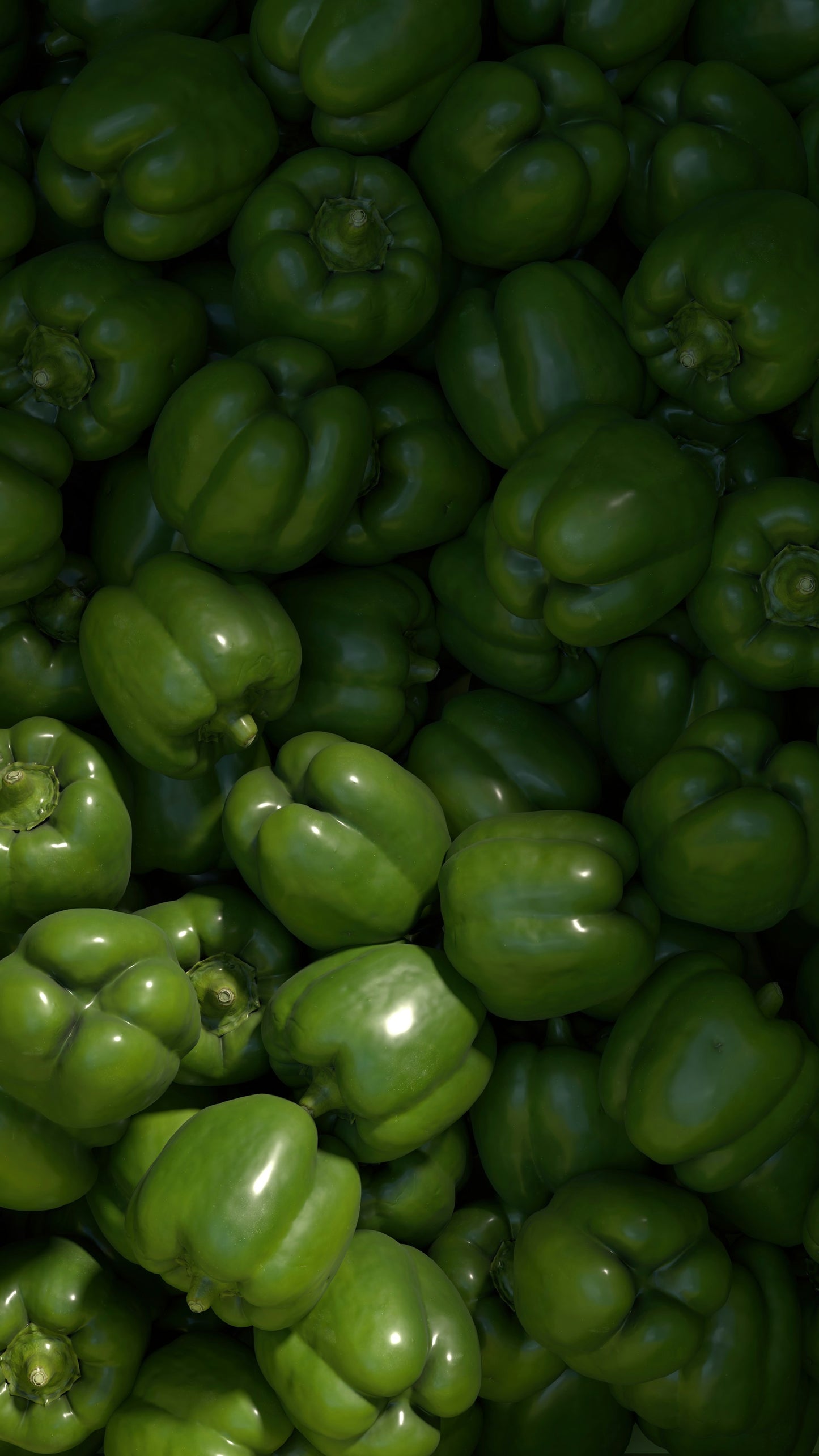 On display is a huge bunching of green bell peppers, of the variety Sweet Cal Wonder 300 TMR. The image is zoomed so we cannot see the container they are held in. There are a huge number of the peppers shown. 