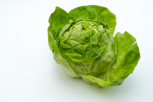 On display is a single head of lettuce, of the variety Crisphead Iceberg. The lettuce heads is shown fully washed, and resting on a white surface. Some small water droplets are visible in the middle, giving the appearance of freshness and crispness.