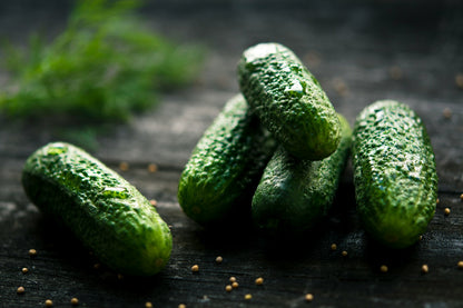 On display are 5 cucumbers, of the variety Rhinish Pickle. These particular cucumbers have the bumpy surface typical of pickles, and are the star of any pickling recipe. They are loosely laid on a dark wooden surface. 