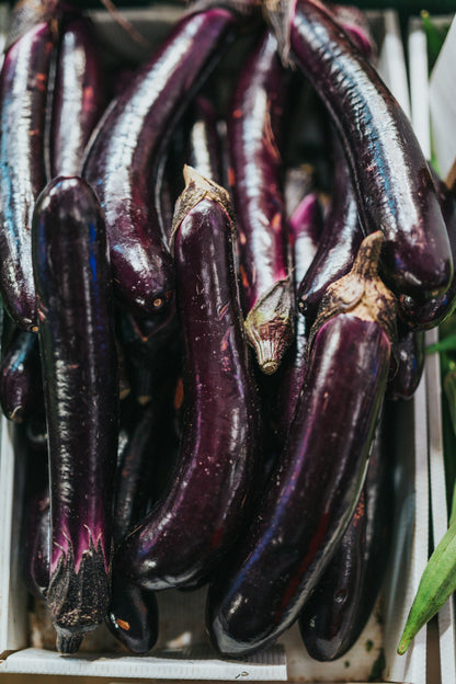 On display are several eggplant, of the variety Long Purple. The eggplant are stacked several layers deep. In the lighting, some of the eggplant have a black color, and some are purple. The calyxes, or crowns, of each eggplant is a dark color. The eggplant are stacked within a square wooden crate.