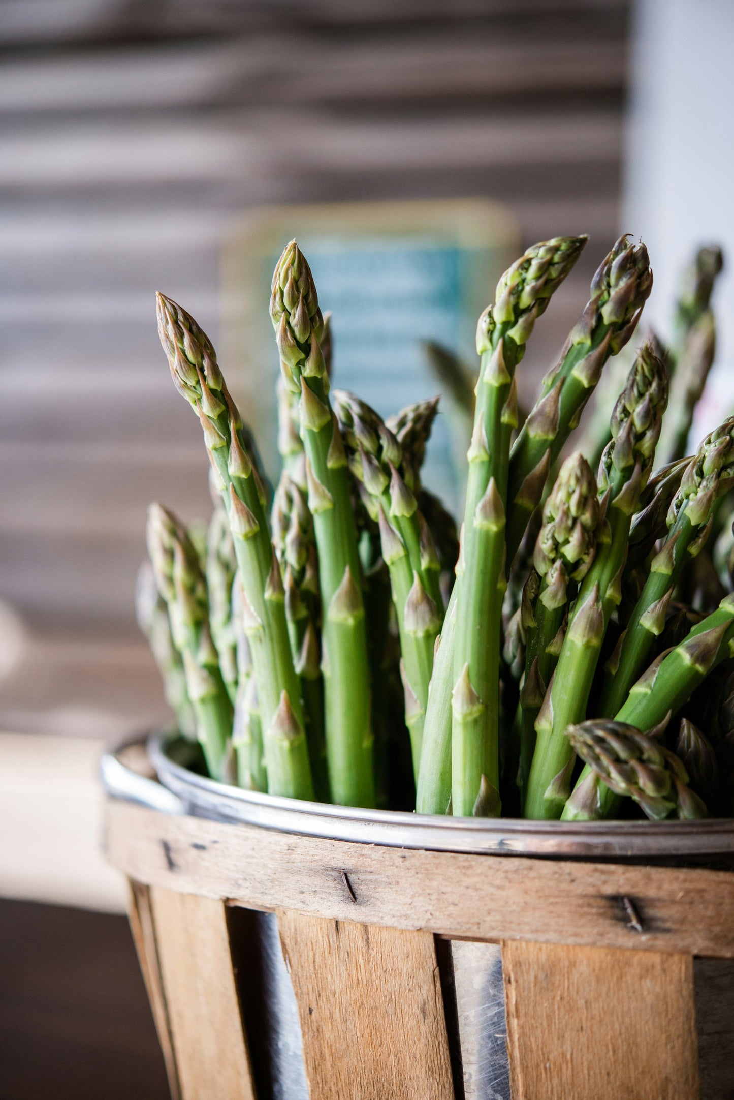 Asparagus, of the variety called, "Mary Washington," previously harvested. The many individual asparagus spears are standing upright within a metal pail, which is within a wooden crate.